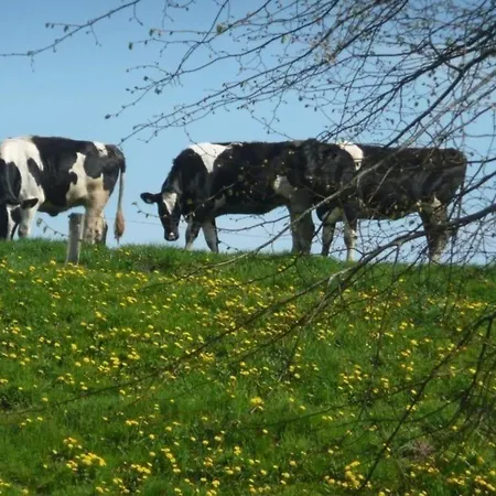 Gemuetliches Am Deich Mit Gartenzimmer Semesterbostad Kleve (Dithmarschen)